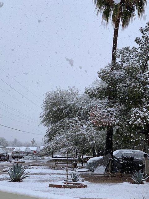 Snow in Tucson